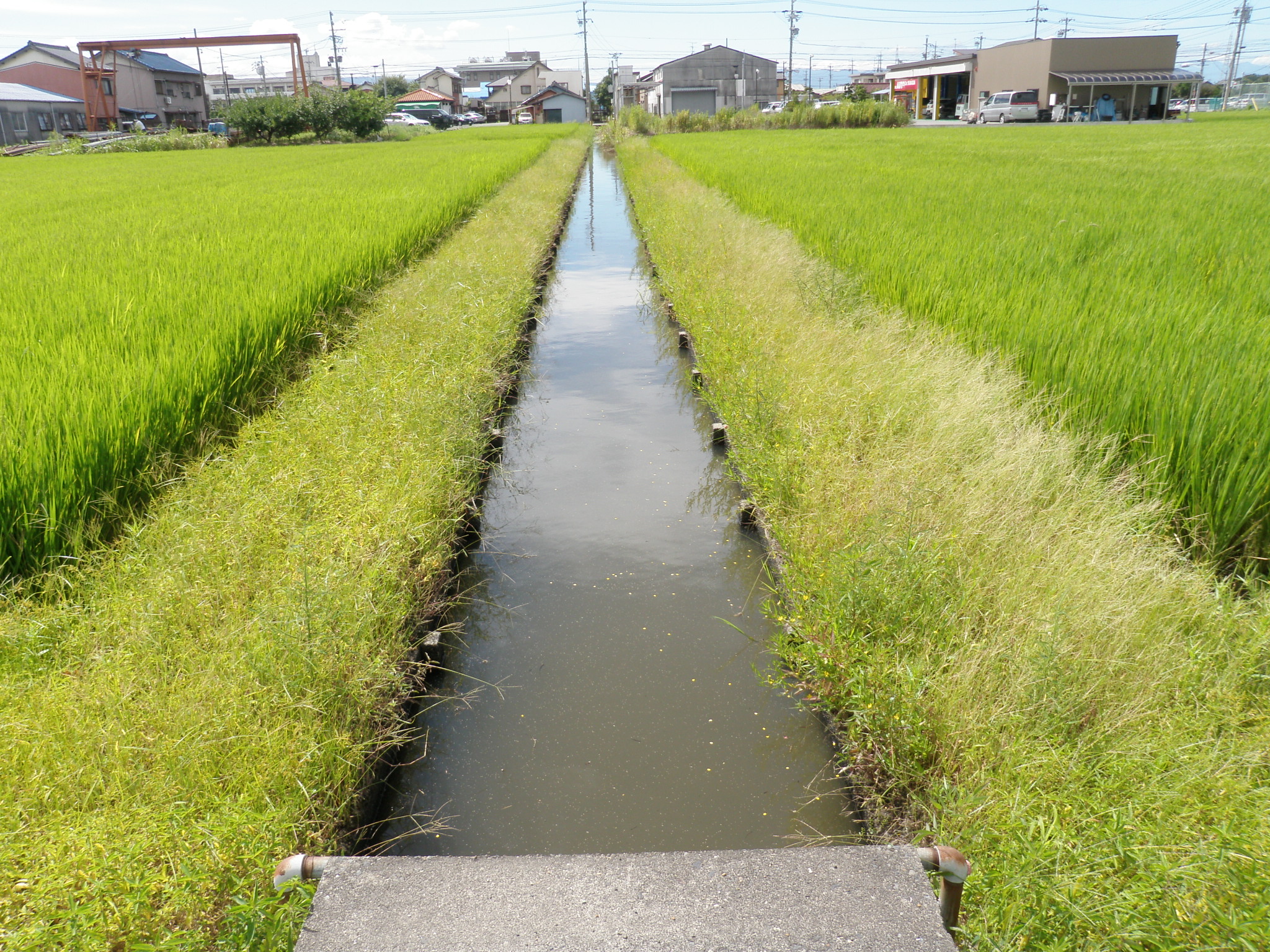 五八施設概要 〉〉 | 海部津島水利事務所